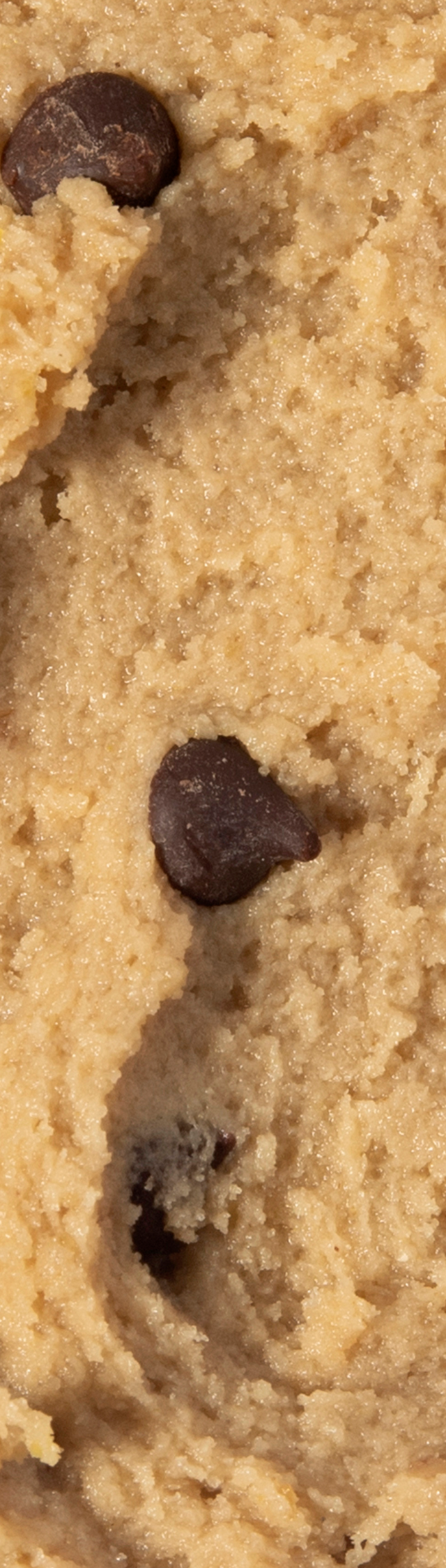Chocolate Chip