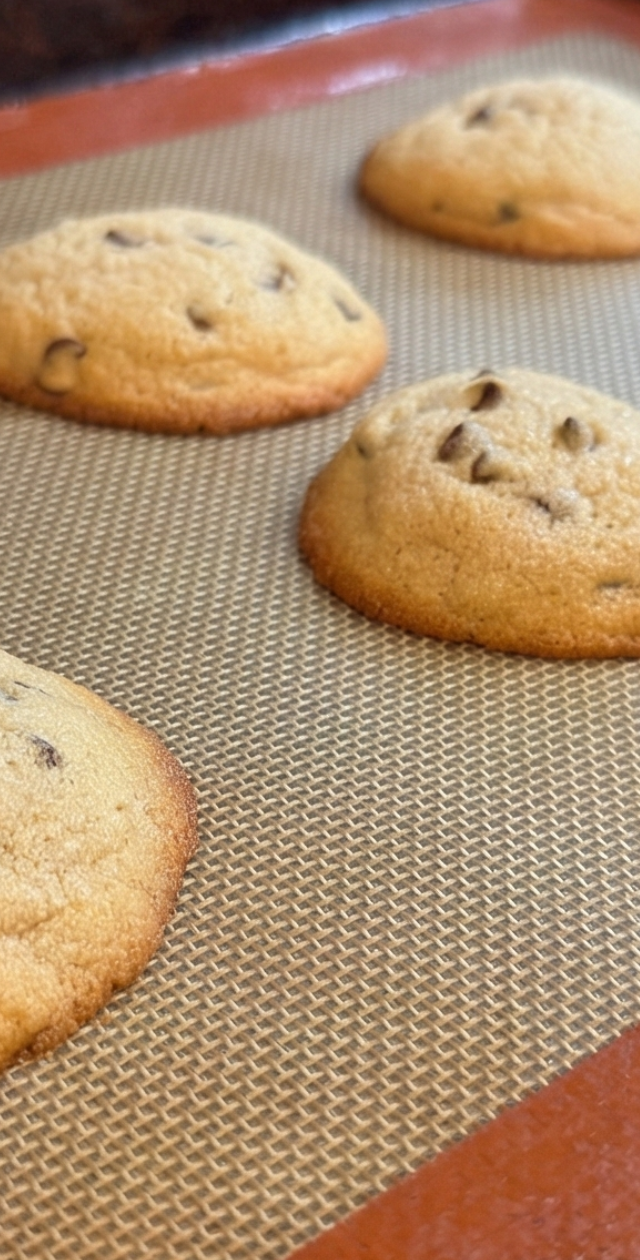 Chocolate Chip +PROTEIN