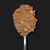 Cinnamood