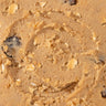Holiday Oatmeal Raisin